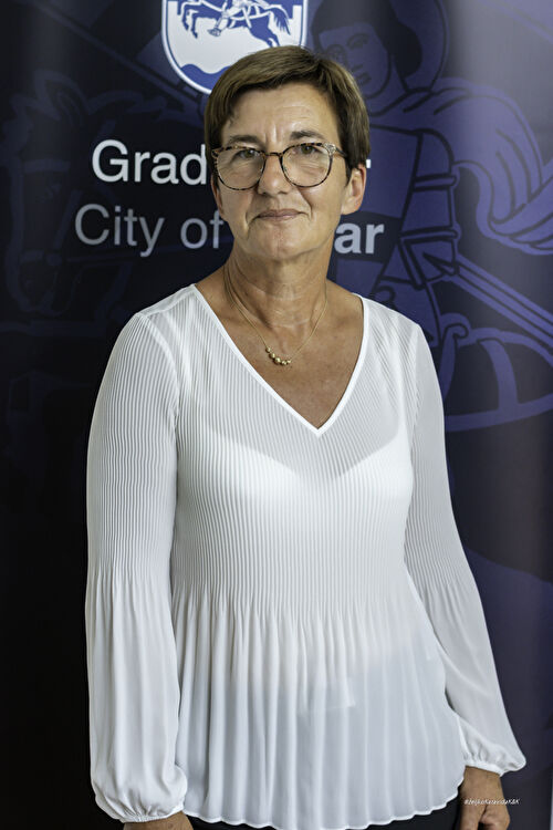 Drita Dunatov, KLUB VIJEĆNIKA - GRUPE BIRAČA